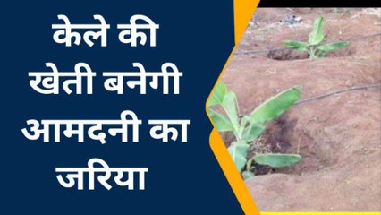 किसानों की बढ़ेगी आय.......सरकार की "समृद्धि योजना" बनेगी मददगार