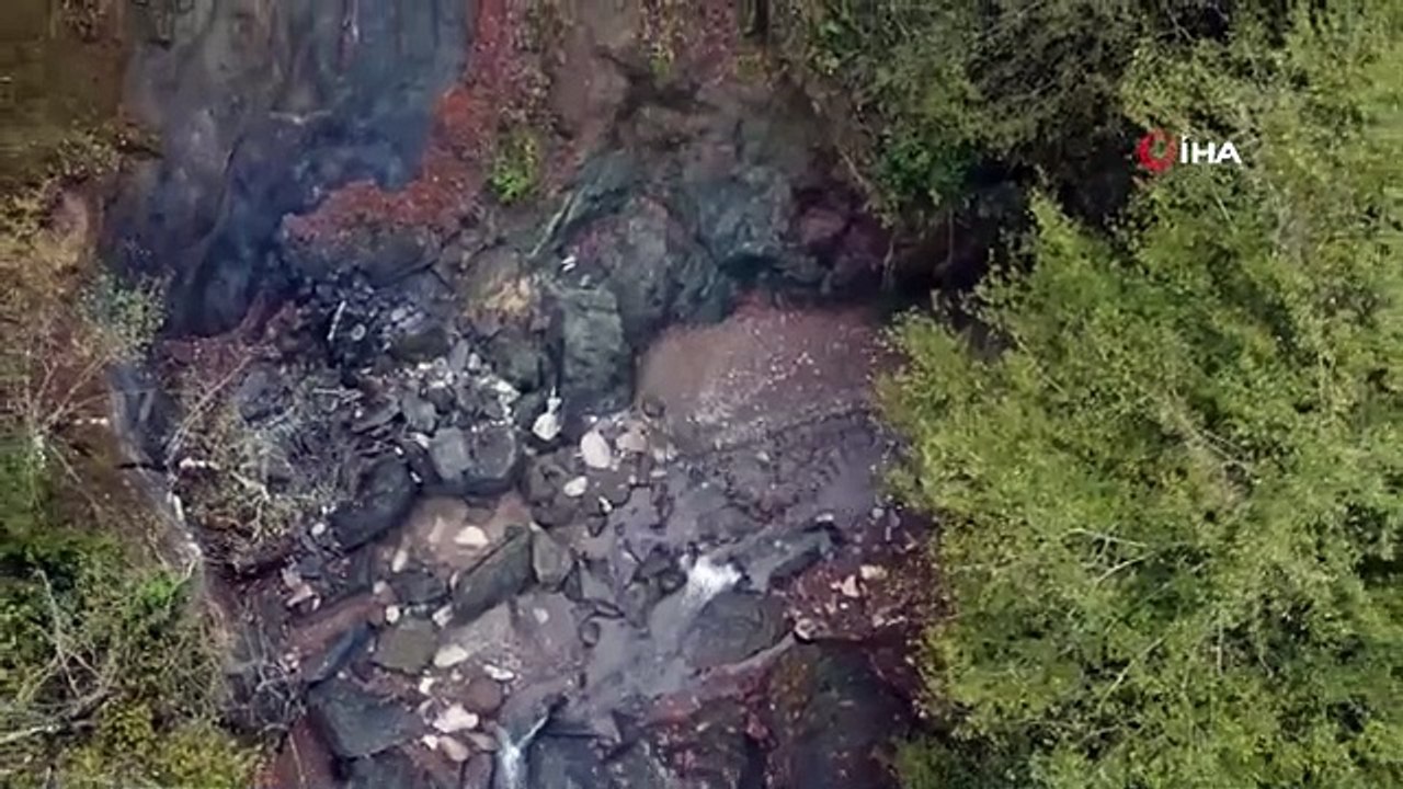 Beauté d'automne dans les forêts de Zonguldak