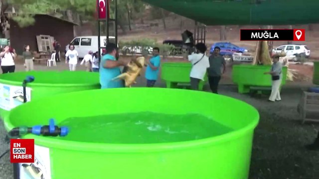 İztuzu sahilinde caretta caretta yuvaları 3 katına çıktı