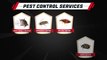 Pest Control Services | Rodent | German Cockroaches |  Bed Bug Control | Pest Blaster Sydney