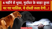 Viral Video: Kerala के Dog की Story, आ जाएंगे आंसू | Viral Dog Story | वनइंडिया हिंदी