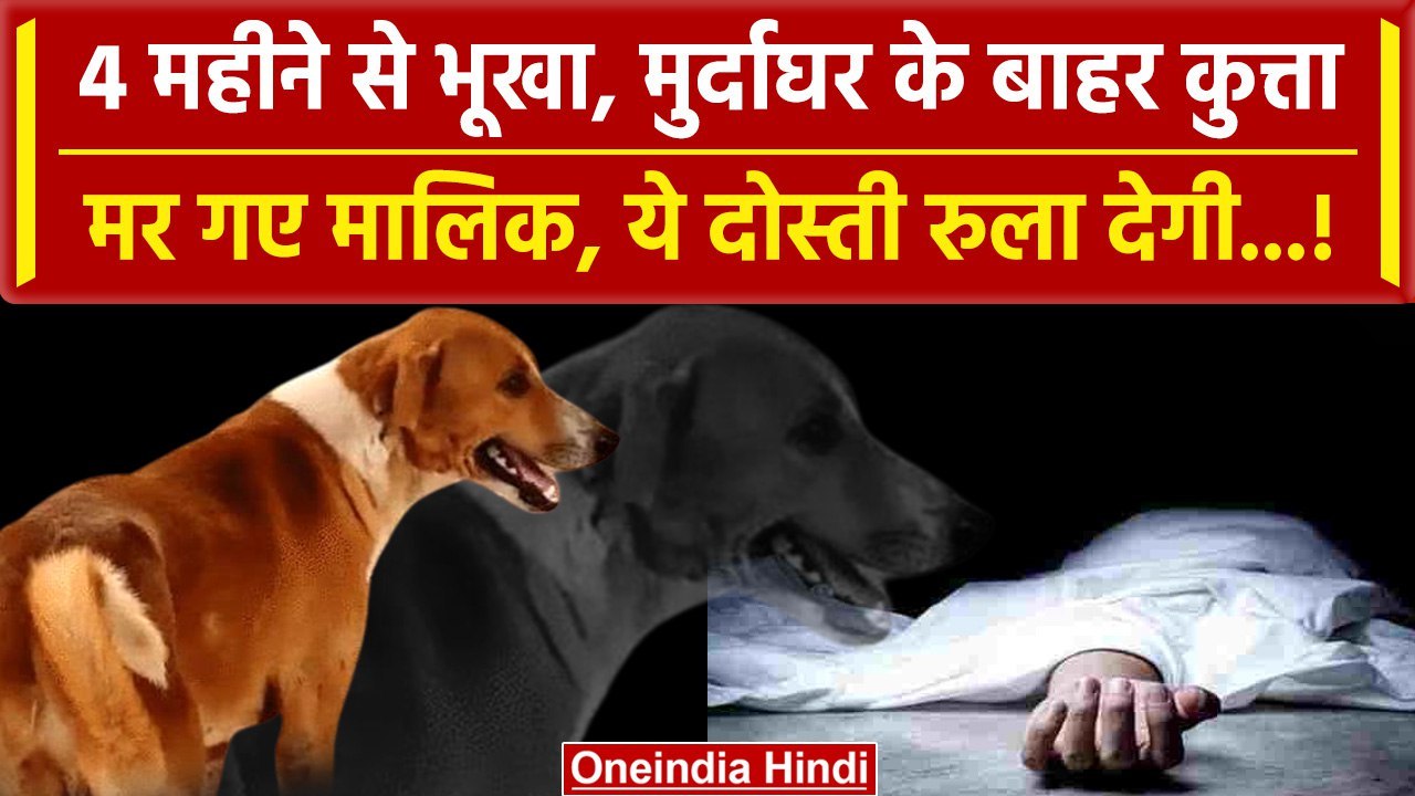 Viral Video: Kerala के Dog की Story, आ जाएंगे आ...