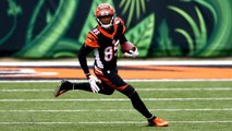 Higgins: Evaluating His Potential as a Wide Receiver