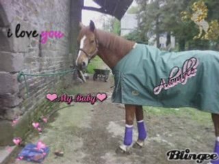 Moi et mon bb anniversaire