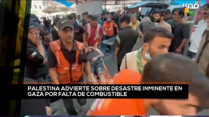 teleSUR Noticias 11:30 05-11: Desastre inminente en Gaza por falta de combustible