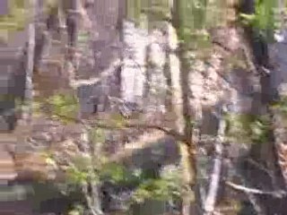 Paintball anniv apophis