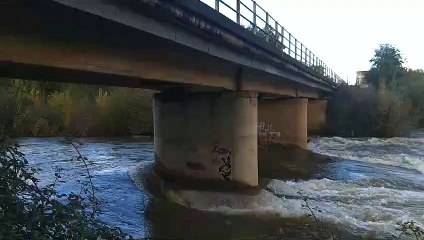 Así está el río Órbigo a su paso por Veguellina