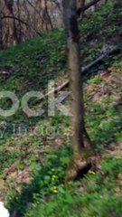 Why Are You Losing  || Best Motivational Video  || Powerful Motivation video (3)