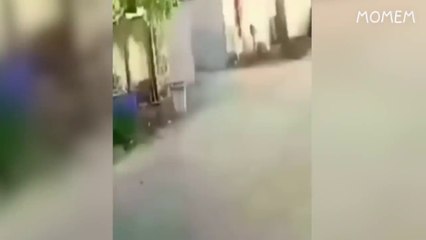 try not to laugh impossible memes