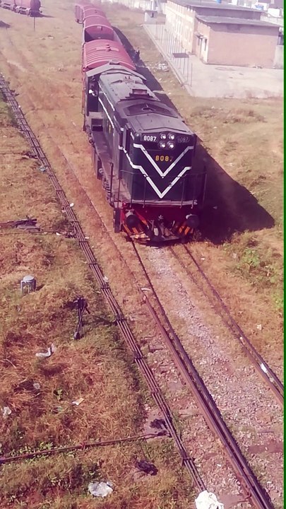 VID_20231105_122746
