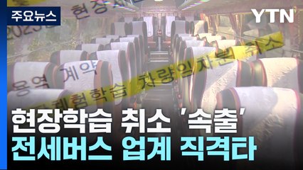 노란버스 논란 확산 🚍…초등학교 현장학습 차질 우려와 버스업계 피해 심화