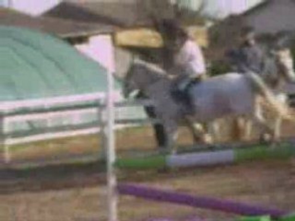 I am The Horse