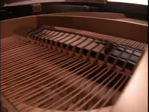 Chiquinha Gonzaga | show | 1999 | Official Clip