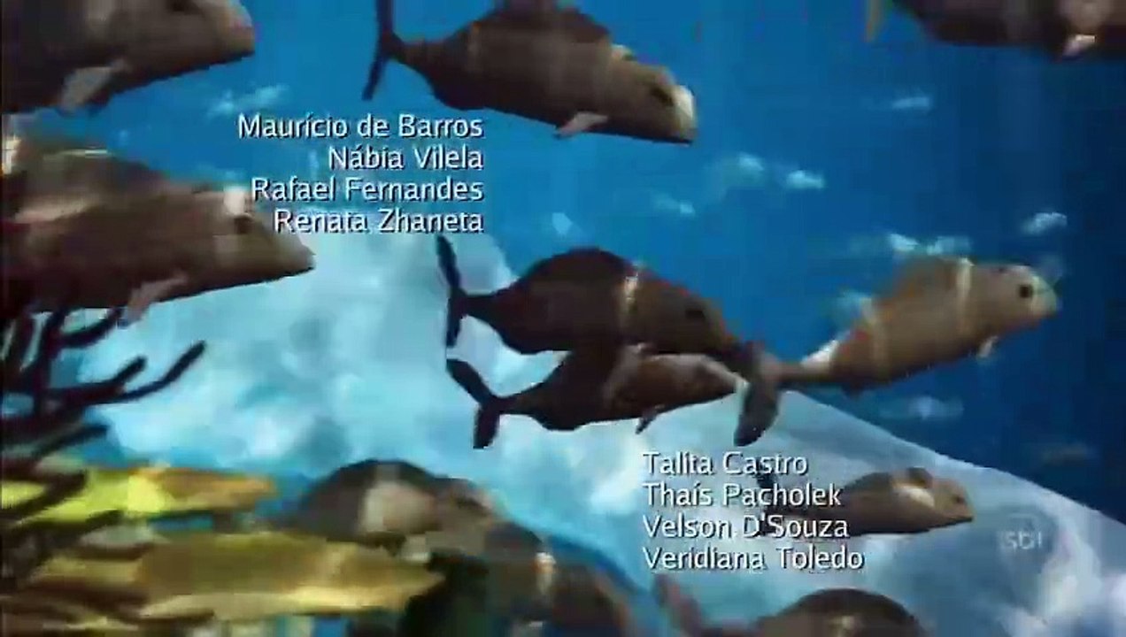 Vende-se um Véu de Noiva | show | 2009 | Offici...