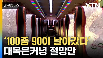 노란버스 대란: 초등학교 현장체험학습에 미친 충격적인 후폭풍 🚍