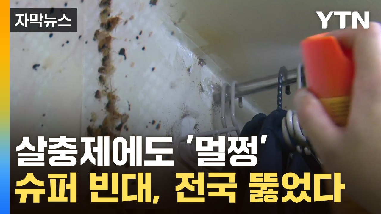 [자막뉴스] 생각보다 심각한 실태...'슈퍼 빈대' 퍼지는 한국 / YTN