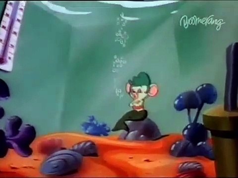 Tom and Jerry kids - Toms Mermouse Mess Up 1991 - Funny animals cartoons for kids