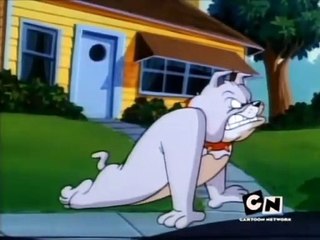 Tom and Jerry Kids S 01 E 03 A - DOG DAZE AFTERNOON _LOOcaa_