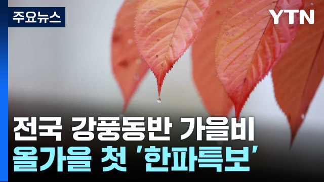 [날씨] 전국 강풍 유의, 곳곳 비...수도권 등 올가을 첫 '한파특보' / YTN