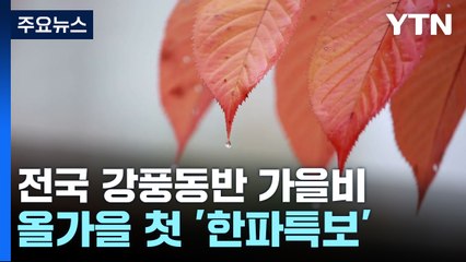 [날씨] 전국 강풍 유의, 곳곳 비...수도권 등 올가을 첫 '한파특보' / YTN