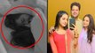 BB17 UPDATE: Isha Malviya Samarth Jurel Kiss पर Isha Parents का Angry Reaction Viral | Boldsky