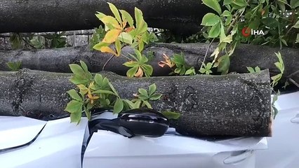 Bursa'da Şiddetli Lodos Araçlara Zarar Verdi