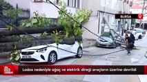 Bursa'da lodos nedeniyle ağaç ve elektrik direği araçların üzerine devrildi