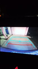 Rolling Cat Blocks Truck Reversing