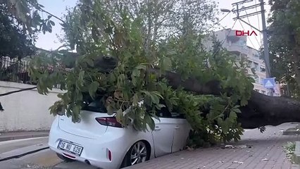 Bursa'da Lodos Etkisiyle Aydınlatma Direği ve Ağaç Araçların Üzerine Devrildi