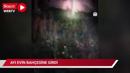 Evin bahçesine giren ayı cep telefonu kamerasında