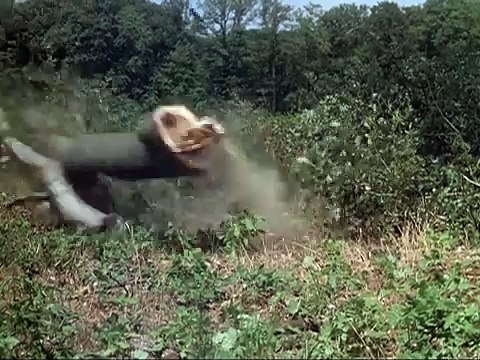 Le Diable probablement Bande-annonce (EN)