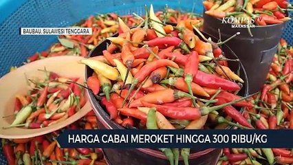 Harga Cabai Meroket Hingga 300 Ribu/Kg