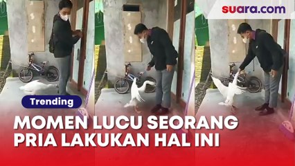Momen Lucu Seorang Pria Lakukan Hal Ini saat Diserang Soang: Auto Trauma