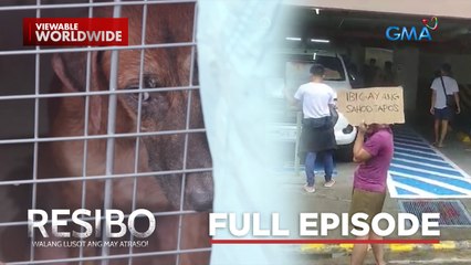 Rambol ng mga sekyu at asuzena for sale, panoorin! | Resibo