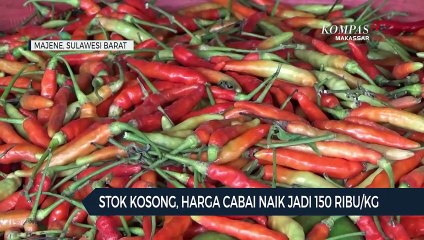 Stok Kosong, Harga Cabai Naik Jadi 150 Ribu/Kg