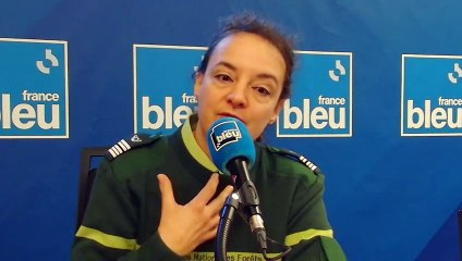 Marie Dubois, directrice de l'Office national des forêts en Bretagne