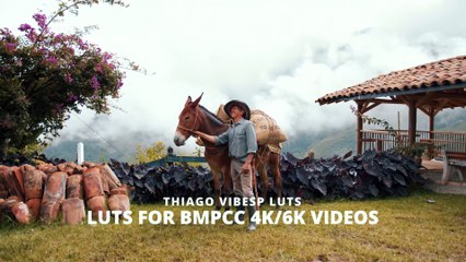 Film Looks - LUTs for BMPCCBMPCC4KBMPCC6K Pro Gen45 Videos