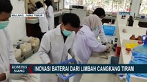 Mahasiswa FMIPA Universitas Brawijaya Malang Buat Inovasi Baterai dari Limbah Cangkang Tiram!
