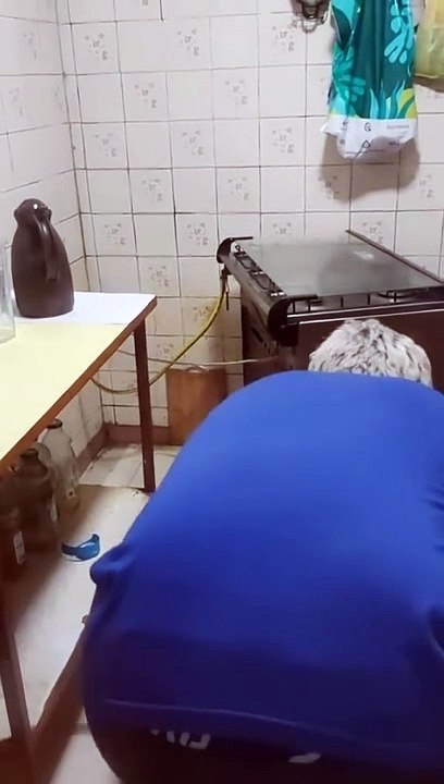 Quand ton chat a peur des souris