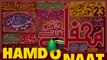 Syed Aziz Ur Rehman Shah | Mmarkzi President Bazim Hassan Pakistan | Mehfil E Hamd O Naat