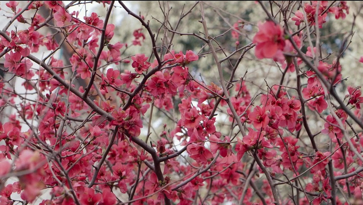 Amigas en un camino de campo trailer omeu