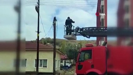 İtfaiye ekipleri yaramaz kedi için seferber oldu