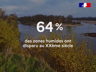 Focus sur... les zones humides - IGEDD