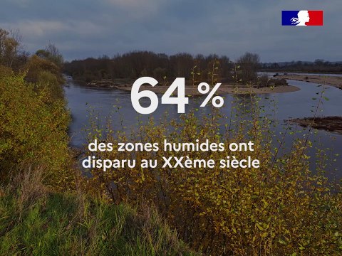 Focus sur... les zones humides - IGEDD