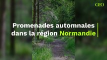 Promenades automnales dans la région Normandie
