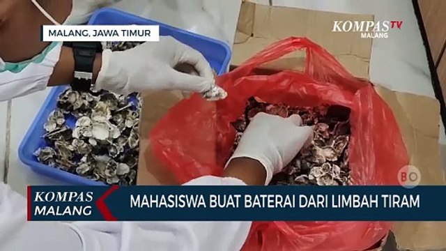 Keren! Mahasiswa Buat Baterai Dari Limbah Cangkang Tiram