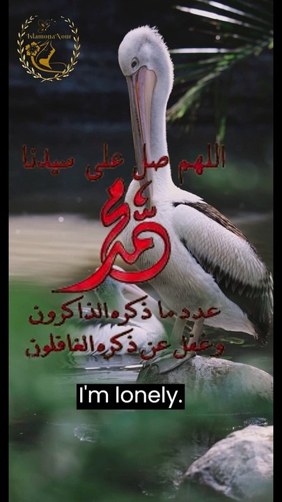 دعاء صلاح الذرية الصالحة لا بد أن تقرئيه ولو مرة في حياتك