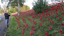 2,000 poppies made from plastic bottles planted for Remembrance Day 2023 in the Black Country