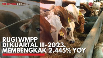 Rugi WMPP di Kuartal III-2023, Membengkak 2.445% Yoy