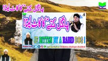 Pagal Kuttay Ka Kaat Laina | If Bitten By A Rabid Dog | Dabistan Al-Attari | Muhammad Tariq Rashid